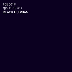 #0B001F - Black Russian Color Image